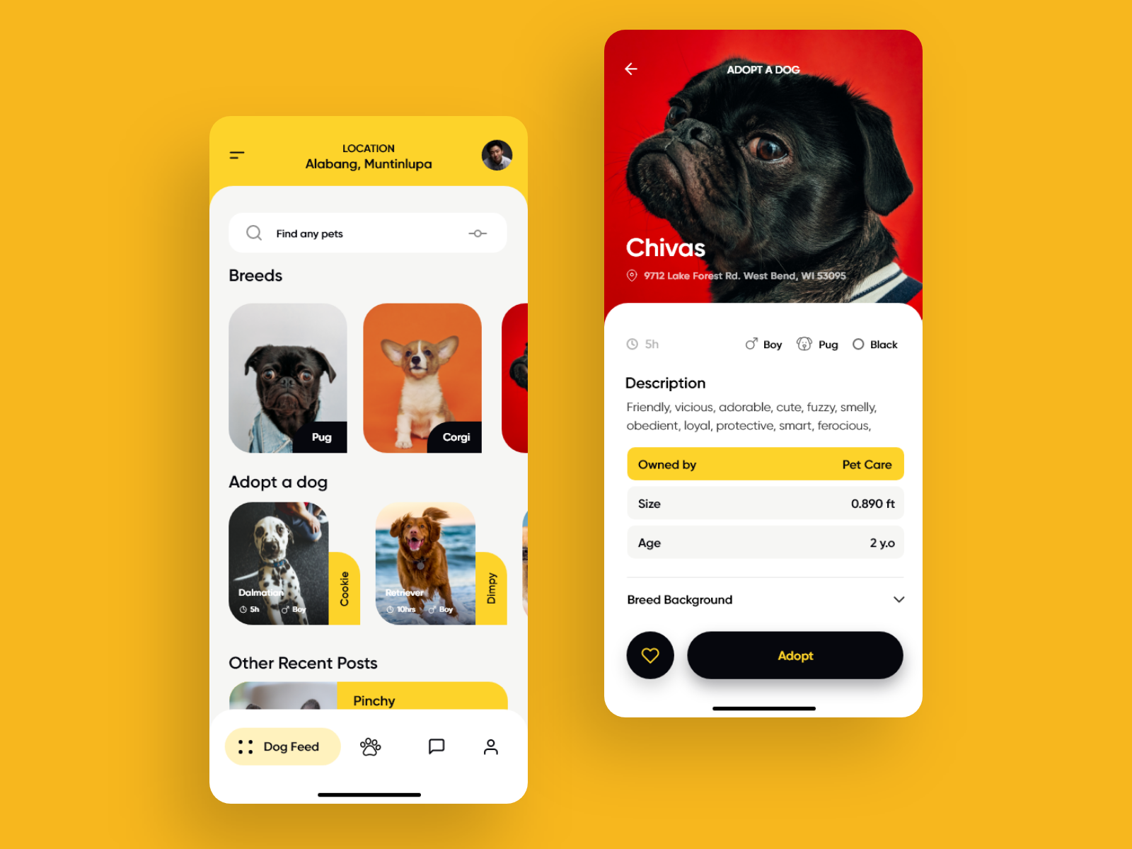 Daily UI - Adopt a Dog App by jedevera on Dribbble