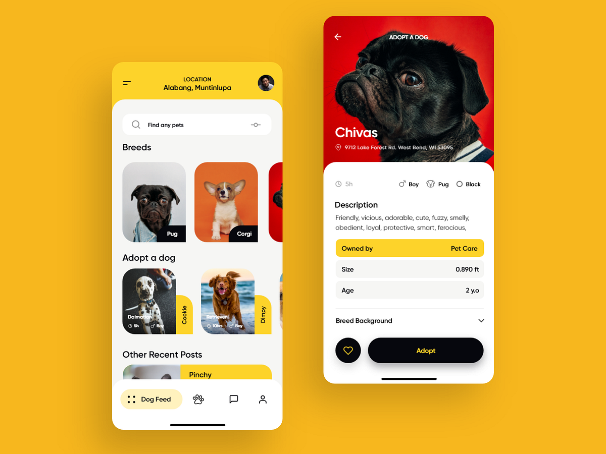 adopt-a-dog-designs-themes-templates-and-downloadable-graphic