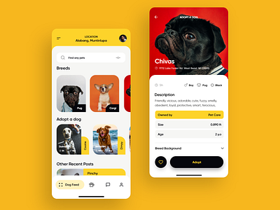 Daily UI - Adopt a Dog App adopt adopt a dog adoption android app design dog dogs ios app design minimalist mobile portfolio ui user interface ux