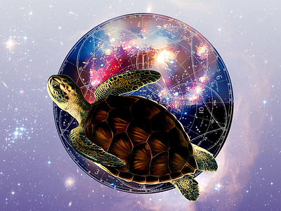 Flying Turtle design illustration