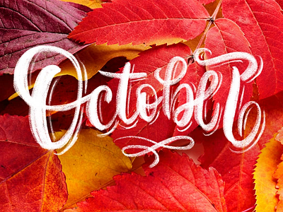 October calligraphy lettering letters typo typography