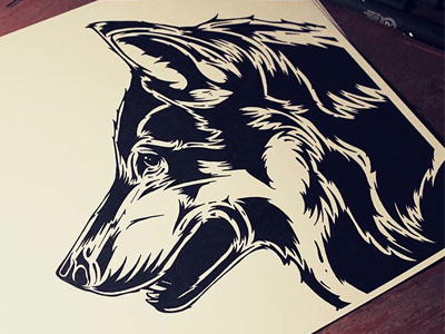 Wolf Drawing