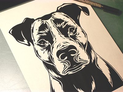 Calvin blackandwhite dog illustration marker pet portrait pup