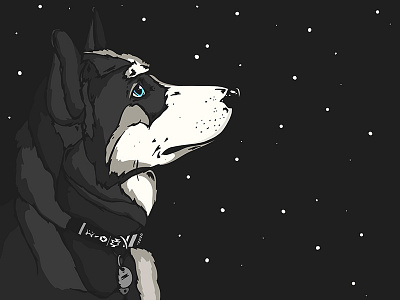 Shashki art character design dog husky illustration pup stars vector