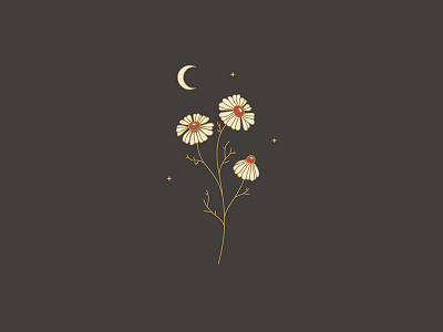 flower art design flower icon illustration logo moon retro stars vector vintage