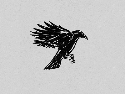 Fly art bird character crow design flight fly icon illustration print retro texture vintage