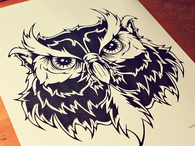 Owl Black and White illustration owl