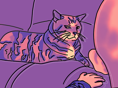 Death stare cartoon cat illustration pet portrait portrait