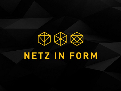 Netz In Form branding ci web