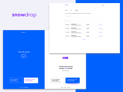 Snowdrop - File Delivery Service app branding design interaction design ui ux web webdesign website