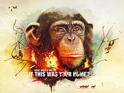 WWF - Save Our Home animals birds brush color donate face fire help home monkey save support