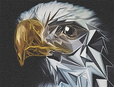 Eagle Bird art design digitalart eagle eaglebird graphicdesign illustration surreal texture vector