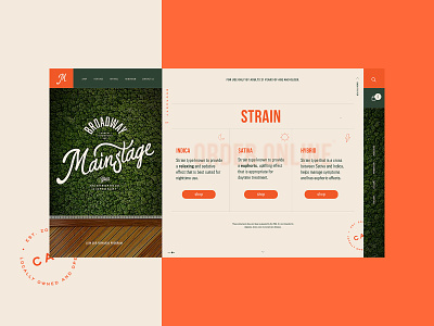Mainstage Dispensary - Homepage Website Design Concept 🌱 branding creative design dispensary graphic desgin product design typogaphy ui web web design