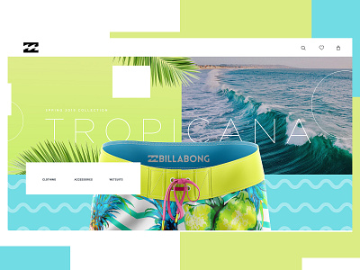 Billabong Website Design Concept