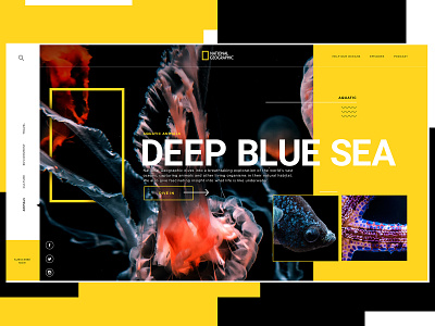 National Geographic Website Design Concept animals aquatic branding creative design graphic desgin national geographic typogaphy ui web web design