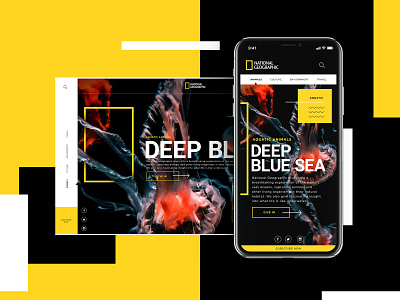 National Geographic Mobile Design Concept