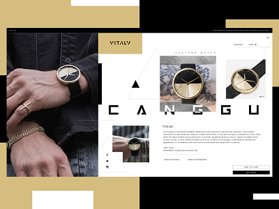 Vitaly Website Design Concept