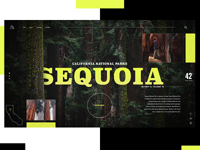 California National Park Website Design Concept branding california creative design graphic desgin national park sequoia typogaphy ui web web design