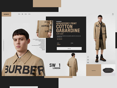 Burberry Website Design Concept