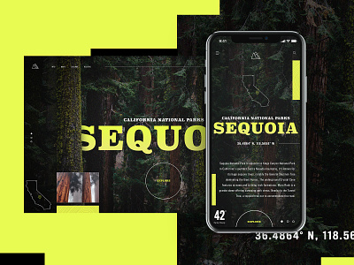 California National Park Website Design Concept branding creative design graphic desgin mobile design mockup design sequoia typogaphy ui web web design
