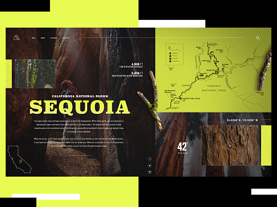California National Park Website Design Concept branding creative design graphic desgin national park sequoia typogaphy ui web web design