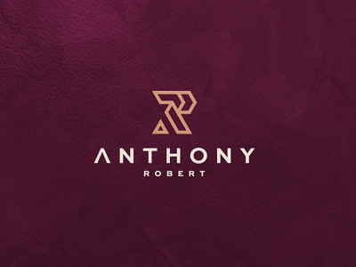 ANTHONY Robert branding design graphic design illustration lo logo motion graphics typography vector
