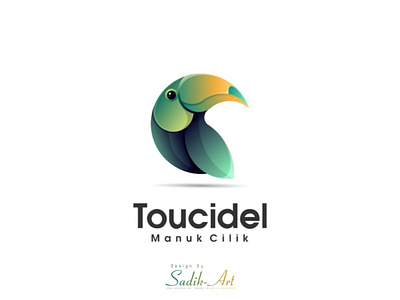 TOUCIDEL branding design graphic design illustration logo motion graphics typography vector