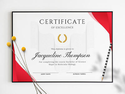 Certificate designs, themes, templates and downloadable graphic elements on  Dribbble