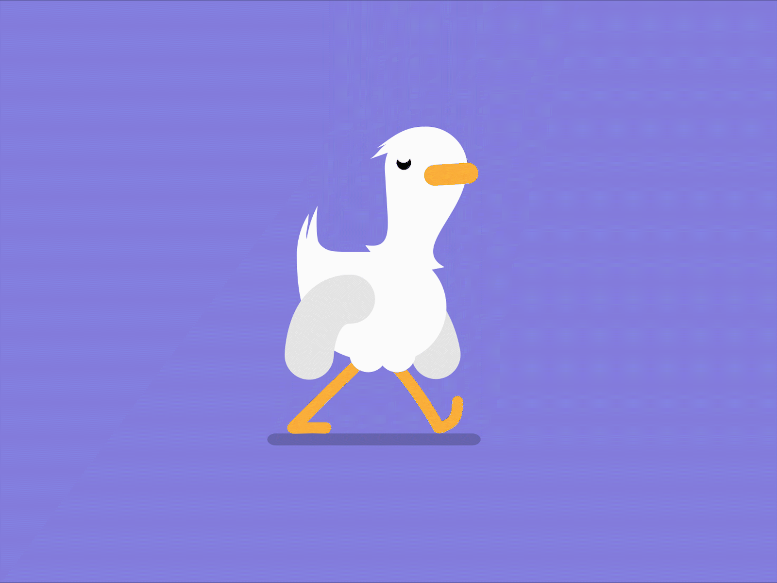 Seally walk cycle aftereffects animation seagull walkcycle