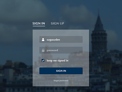 Sign in- Sign up Page