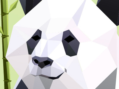 Panda cubic animal cubism facett illustration panda soft