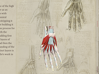 Interactive hand