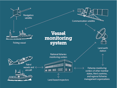 Vms Flow Chart icon illustration line vector