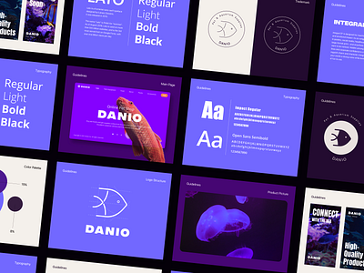 Branding - Danio banner brand book branding color palette concept design graphic design logo logo structure prototype scheme sketch typography ui ux vector web design website