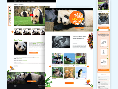 Zoo Online app art design illustration ui ux vector
