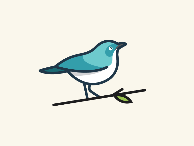 Siberian blue robin : Illustration 2d bird blue design flat illustration logo mascot nature robin wildlife william nghiem