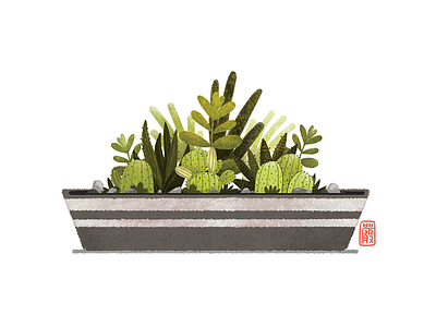 cactus illustration art cactus design illustration illustrator sydney william william nghiem