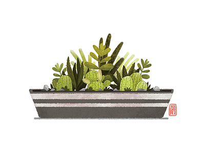 cactus illustration