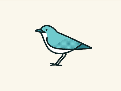 siberian blue robin - final bird blue illustration illustrator nghiem print robin screen siberian sydney vector william