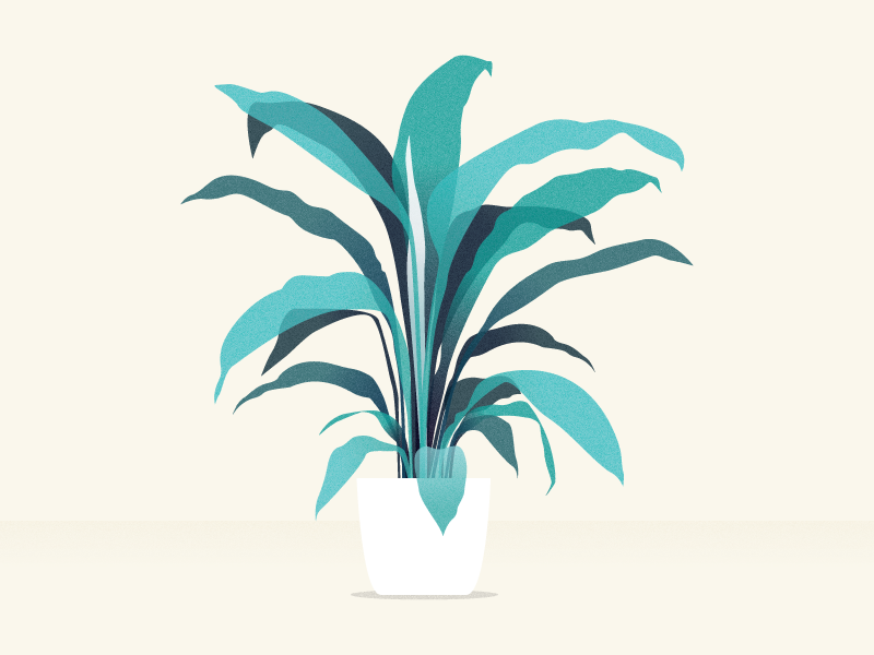 peace lily vector flower green illustration illustrator lily peace plant sydney texture vector