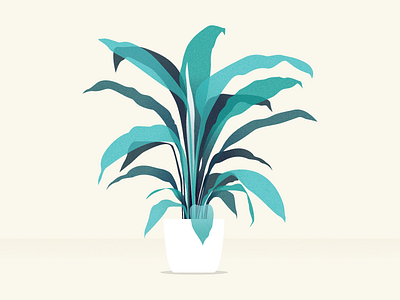 peace lily vector flower green illustration illustrator lily peace plant sydney texture vector