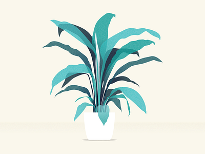 peace lily vector