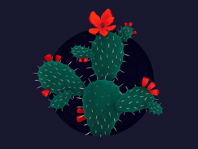Prickly Pear Cactus cactus illustration illustrator plant illustration procreate
