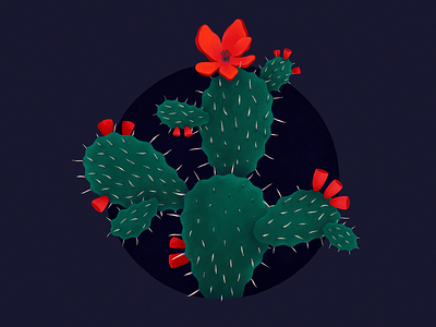 Prickly Pear Cactus