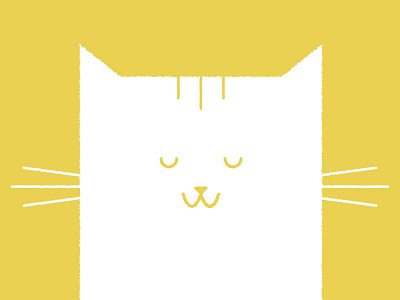 Quinn cat illustration kitty quinn