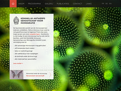 microscopie.be homepage microscopy responsive website