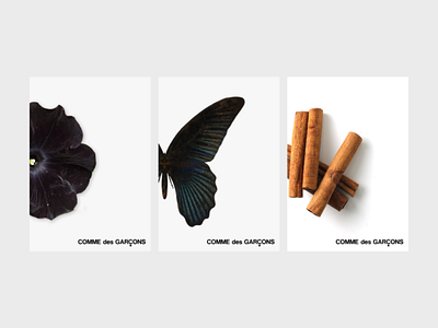 CDG minimalistic perfume posters (drafts) branding design graphic design logo typography