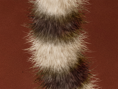 Raring Ringtail animal brown fur red ringtail tail ubuntu