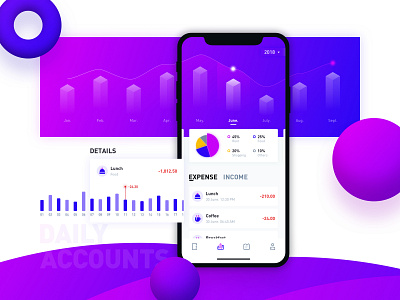 Daily Accounts App data visualization ui