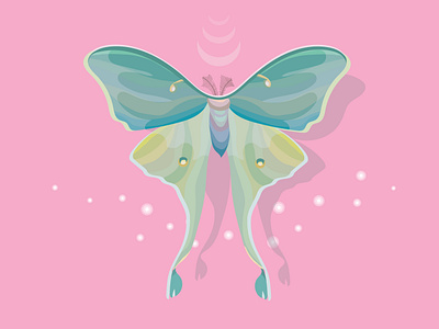 LUNA 🌙 MOTH